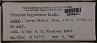 Image Associated With the Occurence